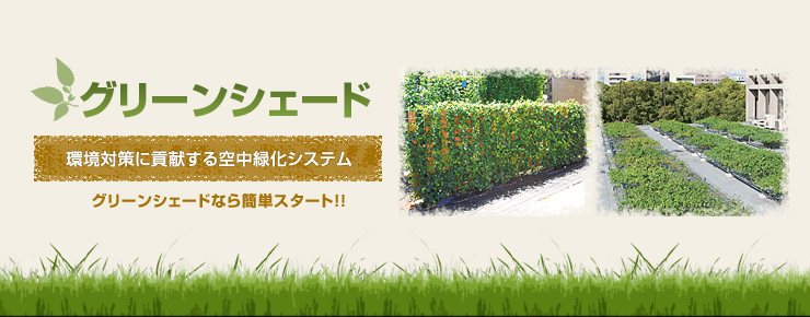 2010年 新商品ダイジェスト