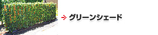 グリーンシェード